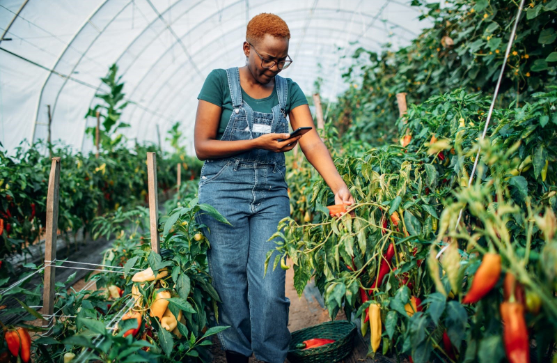 Crop Production Technology